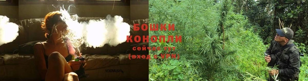 стаф Богородицк