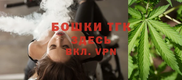 стаф Богородицк