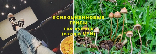гидропоника Богородск