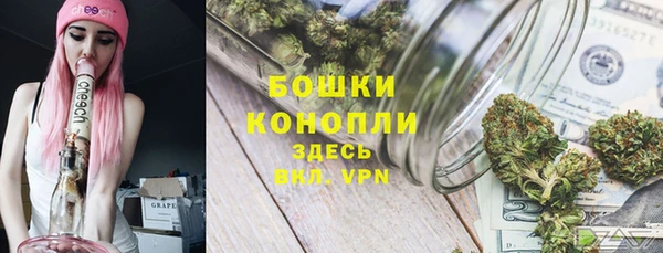 стаф Богородицк