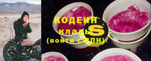стаф Богородицк