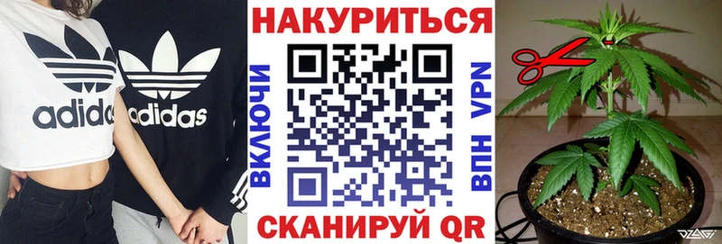 Бошки Шишки план  Валдай 